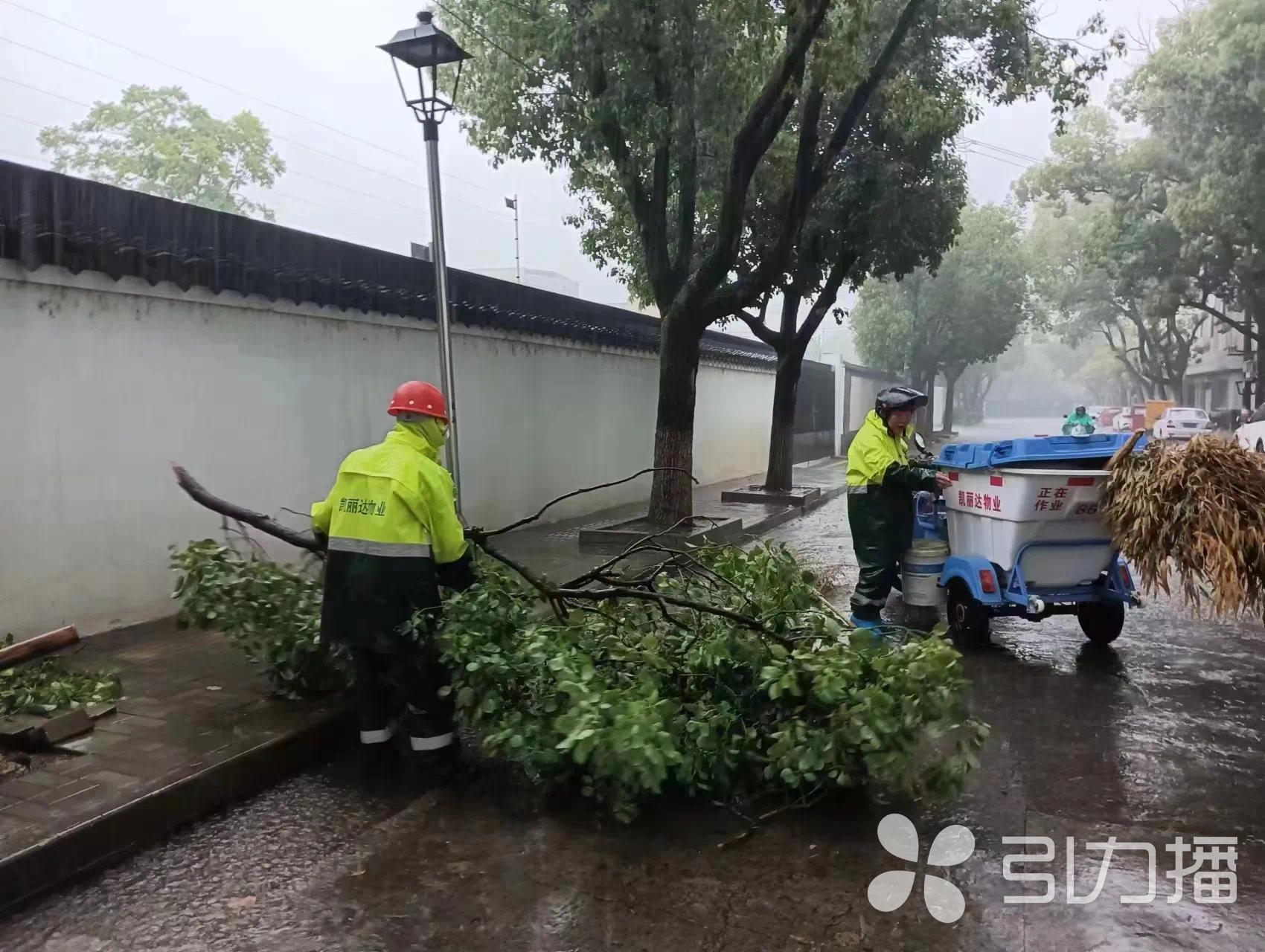 2024澳门今晚开什么澳门,灵活解答解释落实_限量版66.712