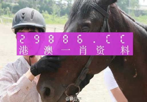 今晚澳门必中一肖一码适,经验解答解释落实_VIP28.794